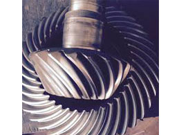 ZF Şanzuman Yedek Parçalar